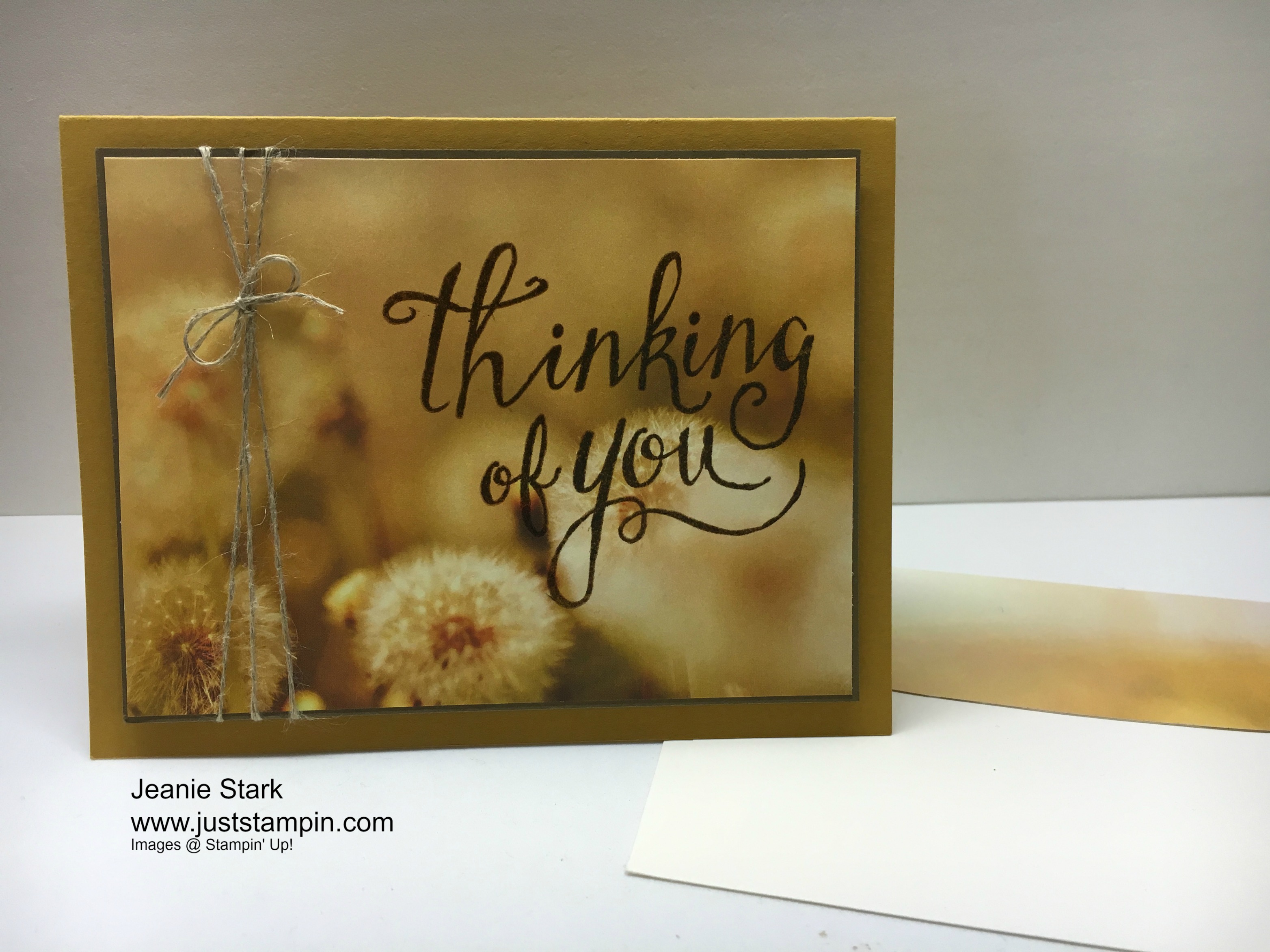 Stampin Up Time of Year Thinking of You card idea with Serene Scenery Designer Series Paper - Jeanie Stark StampinUp
