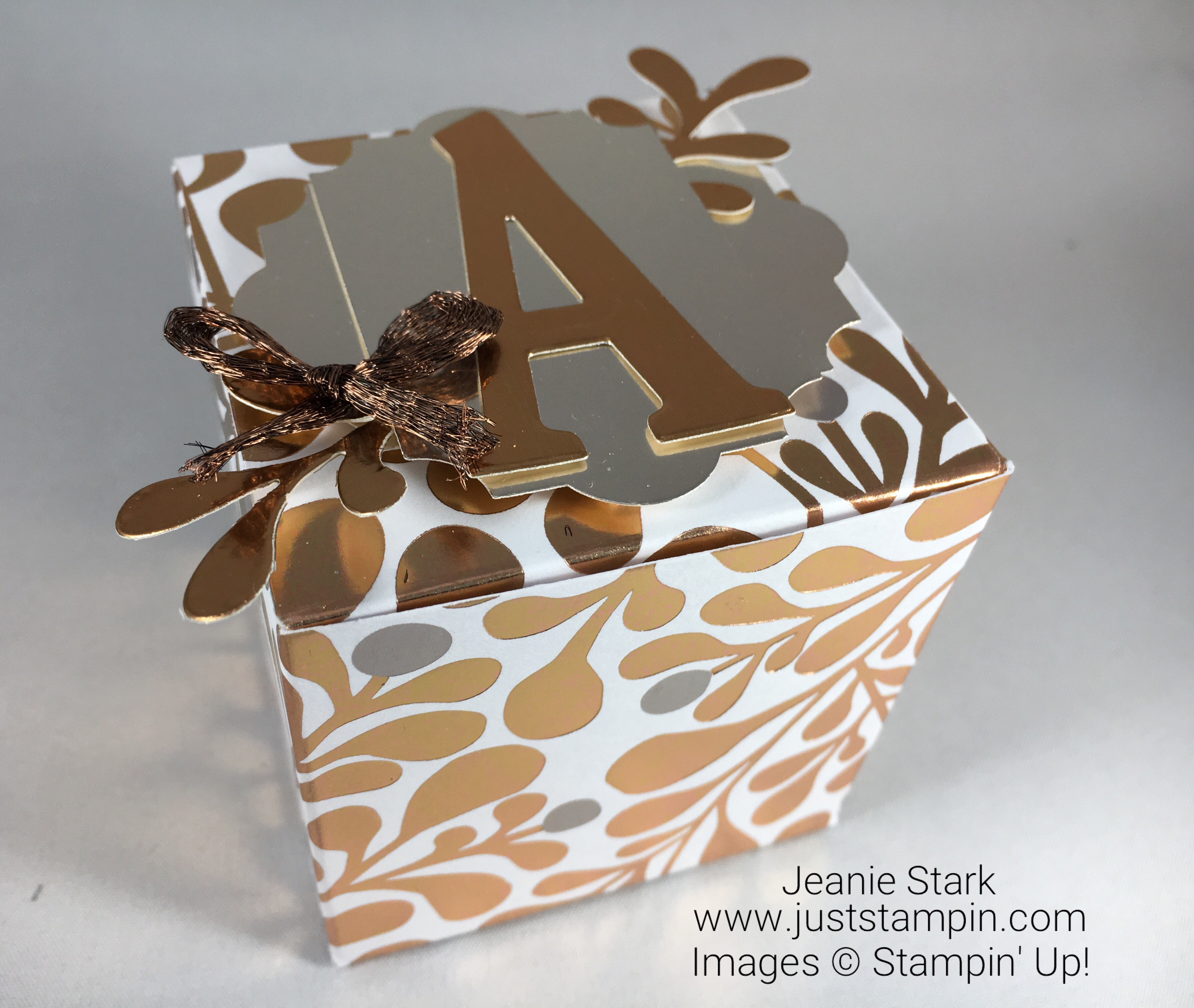 Stampin Up Year of Cheer and Merry Little Labels gift box idea - Jeanie Stark StampinUp
