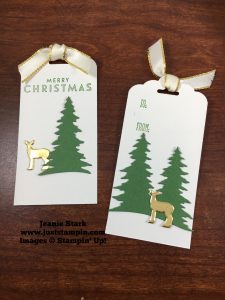Stampin Up Card Front Builder Thinlits tag ideas - Jeanie Stark StampinUp