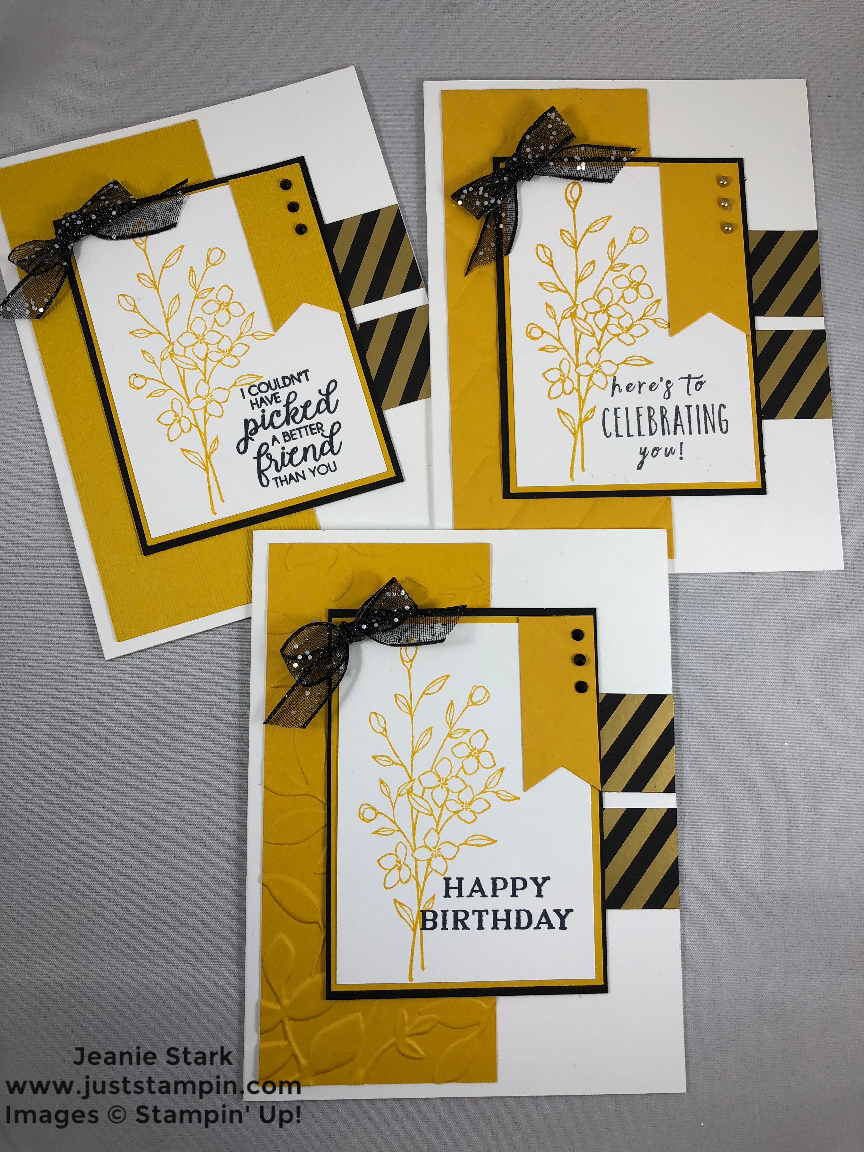 Stampin Up Touches of Texture embossed Birthday card idea - Jeanie Stark StampinUp