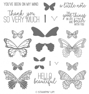 Butterfly Gala Note Cards – Just Stampin'