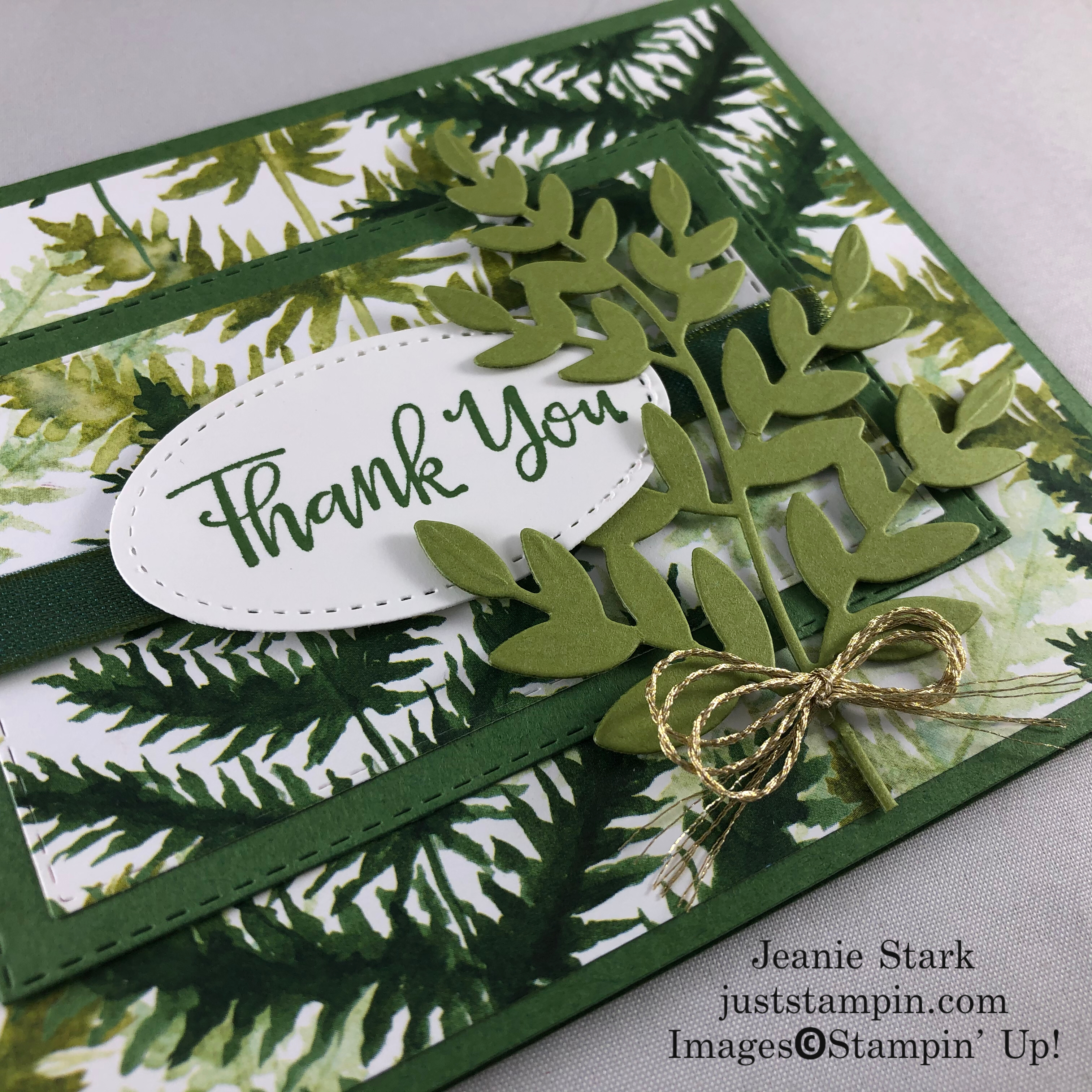 Stampin' Up! Spotlighting technique thank you card idea with Forever Greenery and Stitched Rectangle Dies - Jeanie Stark StampinUp