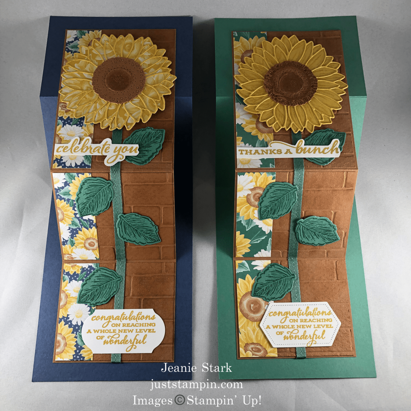 Double Z Fold Tutorial Just Stampin