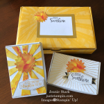 Stampin\' Up! June 2020 Paper Pumpkin Box of Sunshine idea - Jeanie Stark StampinUp