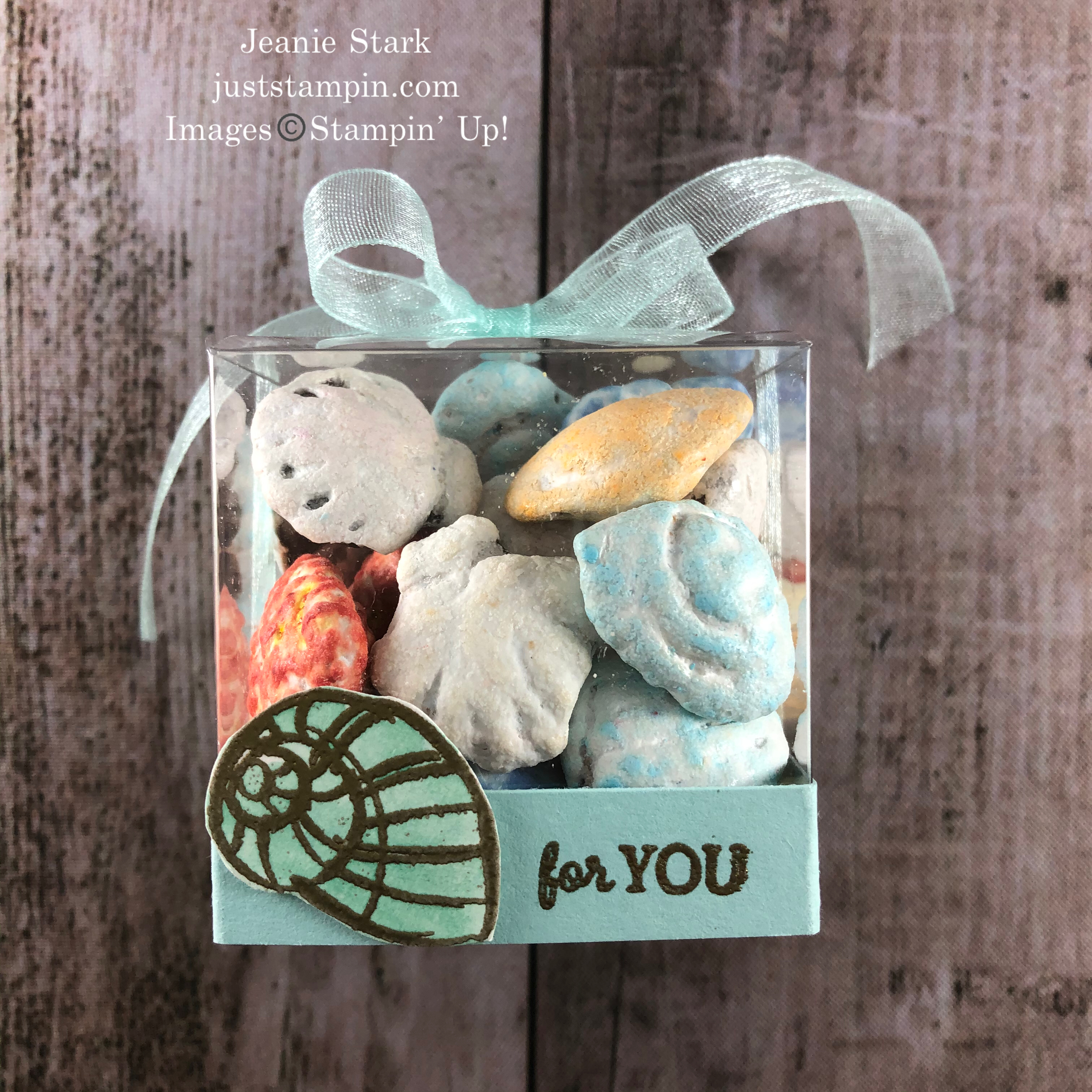 Stampin' Up! clear acetate treat box idea with Seaside Notions - Jeanie Stark StampinUp