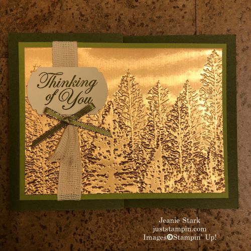 Stampin'Up! Everygreen Forest Embossed Thinking of You card idea - Jeanie Stark StampinUp
