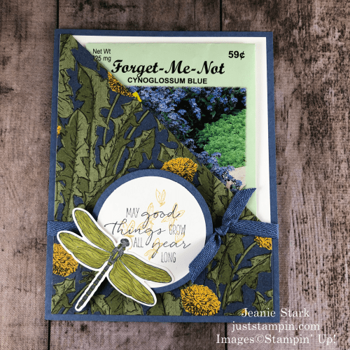 Stampin' Up! Dragonfly Garden seed packet holder/ pocket card - Jeanie Stark StampinUp