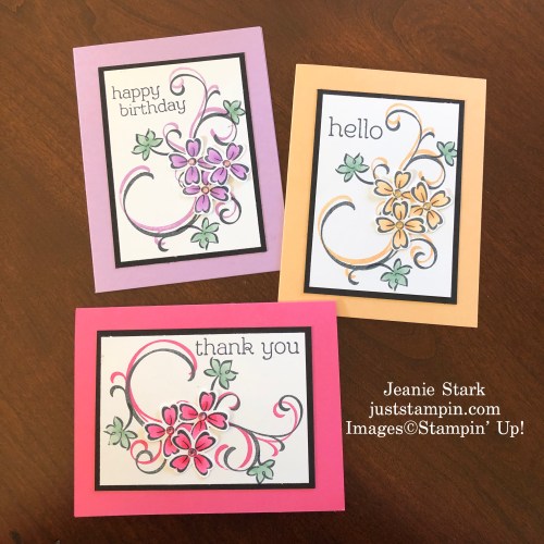 Stampin' Up! Sentimental Swirls In Color all occasion card ideas - Jeanie Stark StampinUp