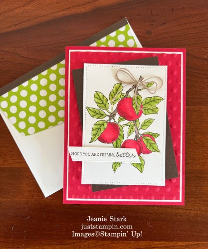 Stampin' Up! Apple Harvest Get well card idea-Jeanie Stark StampinUp