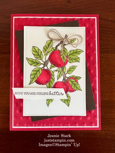 Stampin' Up! Apple Harvest Get well card idea-Jeanie Stark StampinUp