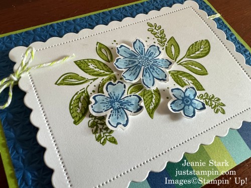 Stampin' Up! Petal Park and Scalloped Contours Die fun fold card idea-Jeanie Stark StampinUp