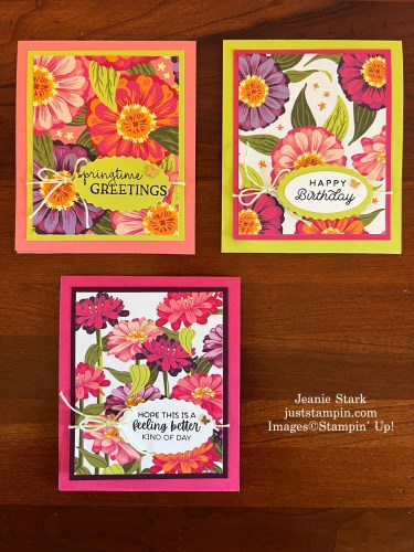Stampin' Up! Flowering Zinnias Seed Packet holders with Comforting Thoughts, Simply Zinnia, and Circle Sayings stamp sets-Jeanie Stark StampinUp