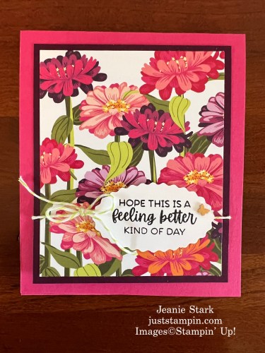 Stampin' Up! Flowering Zinnias Seed Packet holder with Comforting Thoughts, and Simply Zinnia stamp sets-Jeanie Stark StampinUp
