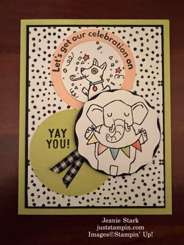 Stampin' Up! Birthday or graduation card ideas with Zoo Crew Designer Series Paper, Circle Sayings, and Beautiful Balloons-Jeanie Stark StampinUp