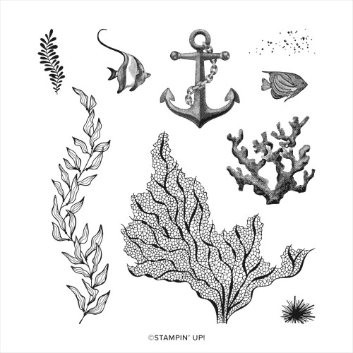 Stampin' Up! Beauty of the Deep Stamp Set-visit juststampin.com for inspiration and ordering information-Jeanie Stark StampinUp