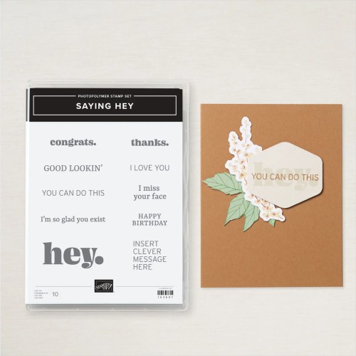 Stampin' Up! Saying Hey Stamp Set-visit juststampin.com for inspiration and ordering information-Jeanie Stark StampinUp