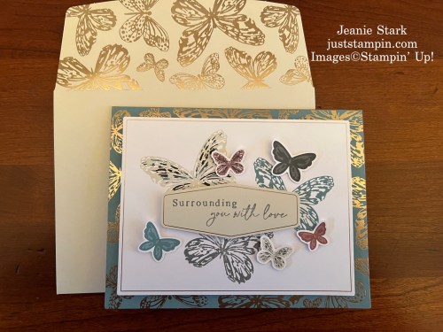Stampin Up! Paper Pumpkin Delicate Wings card-Jeanie Stark StampinUp 