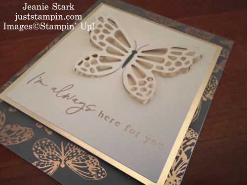 Stampin Up! Paper Pumpkin Delicate Wings card-Jeanie Stark StampinUp 