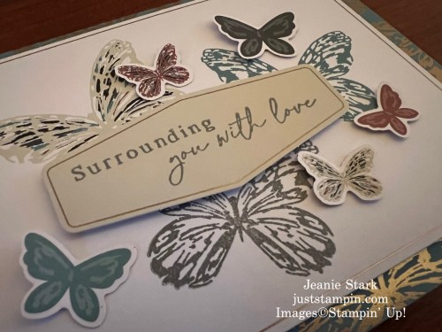 Stampin Up! Paper Pumpkin Delicate Wings card-Jeanie Stark StampinUp 