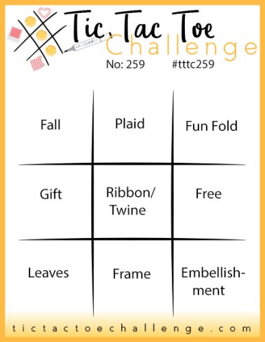 Tic Tac Toe Challenge #259-Pick 3 and play along-visit juststampin.com for inspiration-Jeanie Stark StampinUp