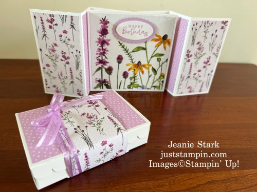 Stampin' Up! Scalloped Gift Card Box and Dainty Flowers Designer Series paper Fun Fold Birthday card idea-Jeanie Stark StampinUp