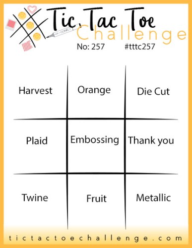 Tic Tac Toe Challenge #257-Pick 3 and play along-visit juststampin.com for inspiration-Jeanie Stark StampinUp