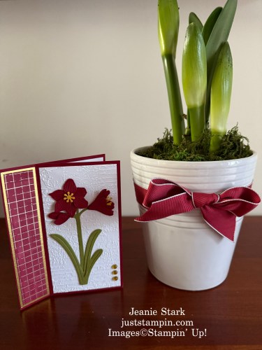 Stampin' Up! Artful Amaryllis Bundle fun fold card idea-Jeanie Stark StampinUp