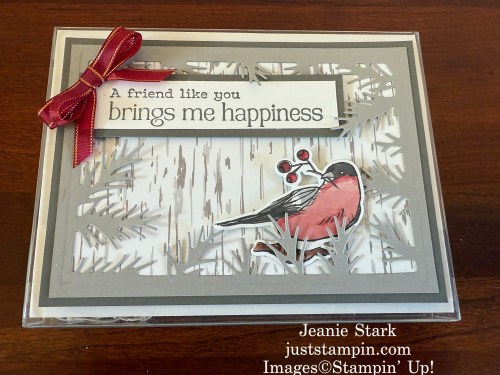 Stampin' Up! Winterly Tree Tops and Nests of Winter card box for gifts-Jeanie Stark StampinUp