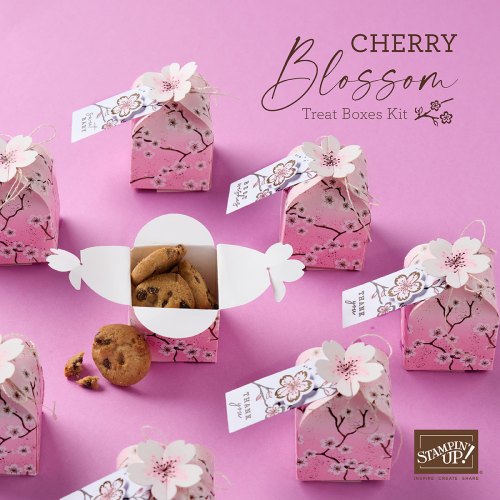 Stampin' up! Cherry Blossoms Treat boxes kit-visit juststampin.com for details and more-Jeanie stark StampinUp