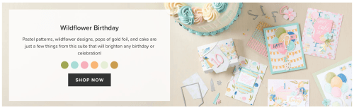 Stampin' Up! Wildflower Birthday Suite Collection-visit juststampin.com for inspiration and to order Stampin' Up! products-Jeanie Stark StampinUp