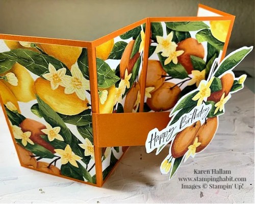 Stampin' Up! Mediterranean Blooms pop-out fun fold card idea-visit juststampin.com for handmade inspiration and ordering information-Jeanie Stark StampinUp