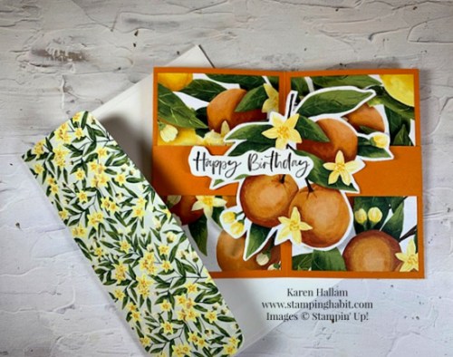 Stampin' Up! Mediterranean Blooms pop-out fun fold card idea-visit juststampin.com for handmade inspiration and ordering information-Jeanie Stark StampinUp