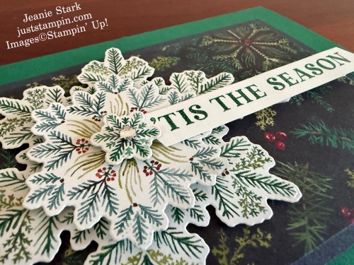 Stampin' Up! Traditional Labels & Delicate Pines Holiday Fun Fold Explosion card with Elegant Pine Snowflakes Designer Series Paper-Jeanie Stark StampinUp