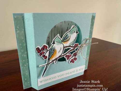 Stampin' Up! Nests of Winter Shadowbox card idea with Ornamental Christmas stamp set-Jeanie Stark StampinUp