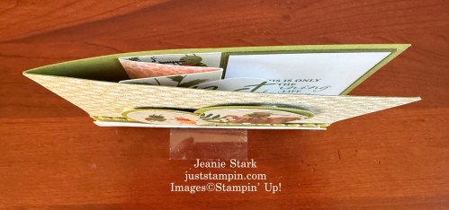 Stampin Up! Sweet Bugs fun fold card for a friend-Jeanie Stark StampinUp