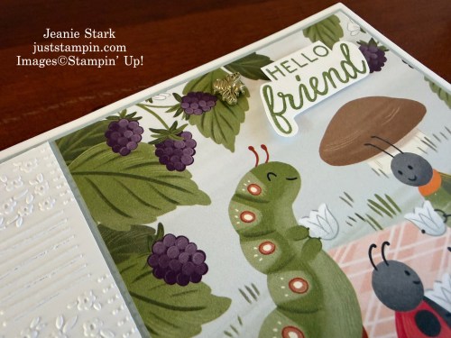 Stampin Up! Sweet Bugs fun fold card for a friend-Jeanie Stark StampinUp