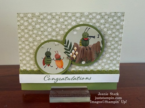 Stampin Up! Sweet Bugs fun fold congratulation card-Jeanie Stark StampinUp