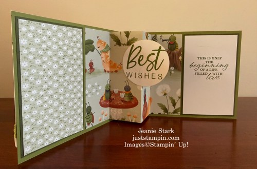 Stampin Up! Sweet Bugs fun fold congratulation card with Wonderful THoughts and With You in Mind Stamp sets-Jeanie Stark 
