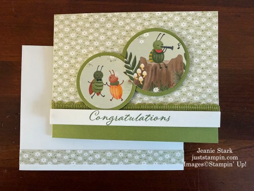 Stampin Up! Sweet Bugs fun fold congratulation card-Jeanie Stark
