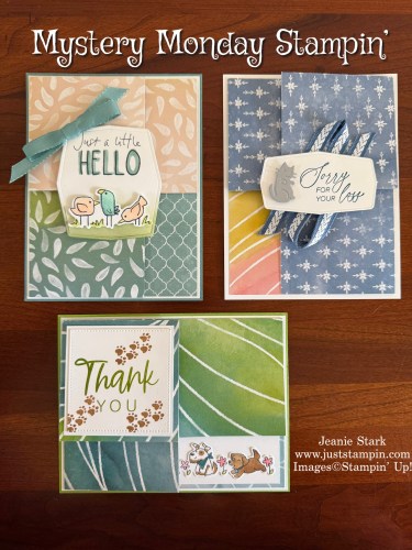 Stampin' Up! Cutest Crew and Painted Illusions pop up fun fold card ideas-Jeanie Stark StampinUp