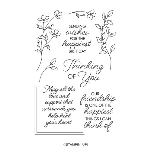 Stampin' Up! Framed All Around Stamp Set-visit jsutstampin.com for inspiration, ordering information, and more-Jeanie Stark StampinUp