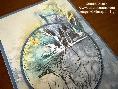 Stampin' Up! Wetlands and Thoughtful Journey Birthday slimline card idea-Jeanie Stark StampinUp