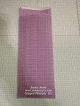 Stampin' Up! Berry Botanical Vellum custom slimline envelope-visit juststampin.com for details-Jeanie Stark StampinUp