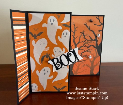 Stampin' Up! fun fold card idea with Frightfully Fun Designer Series Paper-Jeanie Stark StampinUp
