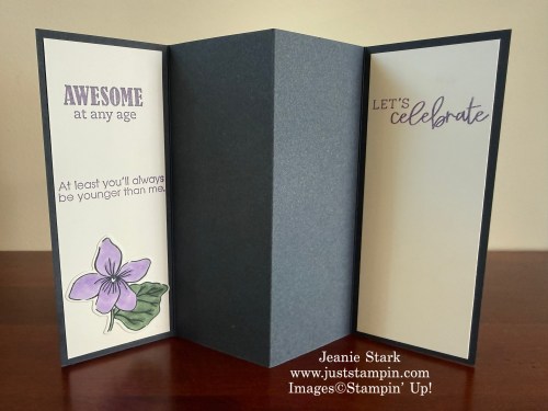 Stampin' Up! Violet Dreams and Balloon Festoon multi panel accordion fun fold birthday card idea-Jeanie Stark StampinUp