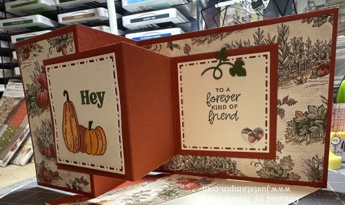 Stampin' Up! Double Z fun fold Card idea-visit juststampin.com for mystery stamping fun fold card ideas-Jeanie Stark StampinUp